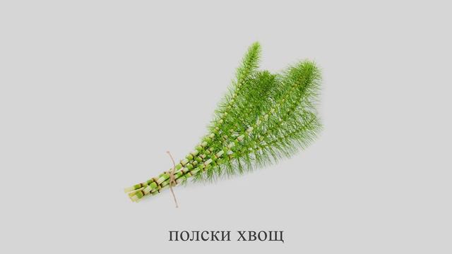 Гликоравнин плюс (капсули х40) - При диабет и висока кръвна захар