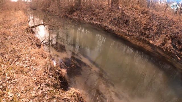 OCHELARI POLARIZAȚI JAXON (X54 AM) pentru PESCUIT смотреть онлайн