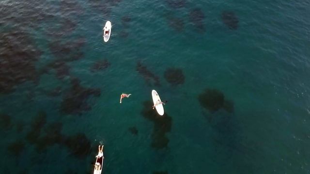 Location Vue Turquoise Martinique смотреть онлайн