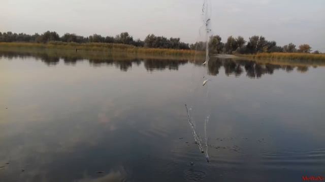 Снасть "косынка"... Ловля "косынкой" на реке... смотреть онлайн