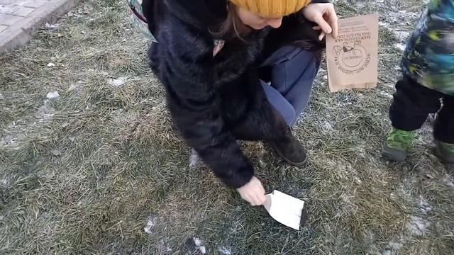 Пакеты для собак смотреть онлайн