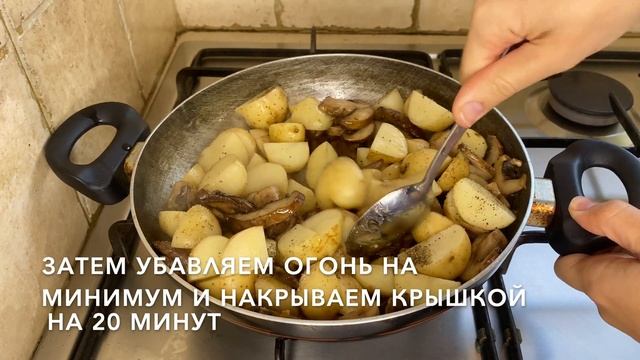 Картошка С Грибами И Сметаной - просто и вкусно смотреть онлайн