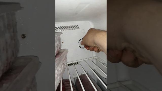 холодильник Samsung RT34MBSW1/BWT с разморозки темп. минус 30 град что делать с замершими яйцами? смотреть онлайн