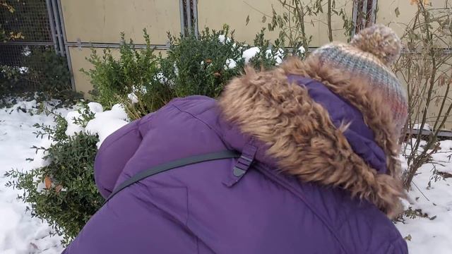 ГЕРМАНИЯ🇩🇪.УКРАИНСКИЕ🇺🇦БЕЖЕНЦЫ.ЗАСТАВИЛИ БЕГАТЬ ПО ЭТАЖАМ-ОТРАБАТЫВАТЬ ПРАВИЛА ПБ😱😱😱 смотреть онлайн