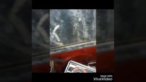 Установил могнитолу в т 25