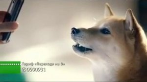 Реклама Мегафон 2