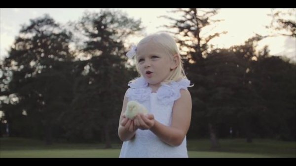 На ладони Божьей птичку не пугает зло| Детские Христианские песни