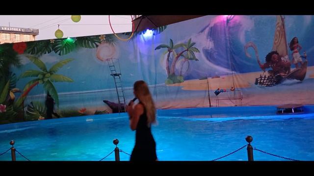 дельфинарий Лазаревское