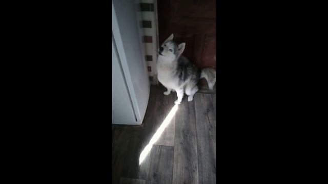 Не много о шлейках смотреть онлайн