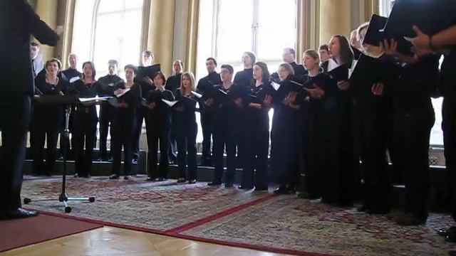 APZ Alojzij Mav - Salve Regina (Česlovas Sasnauskas) смотреть онлайн
