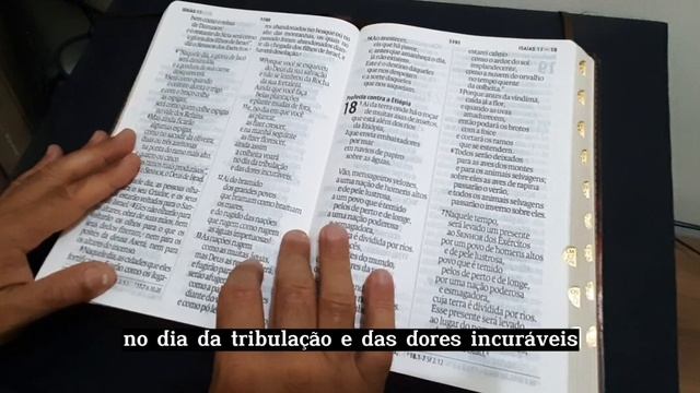 LENDO A BÍBLIA COM O PASTOR | Js 18; Is 17-19 | VD 12 смотреть онлайн
