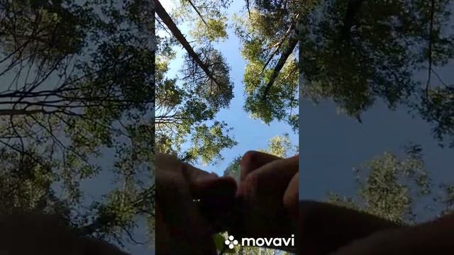 Летний аксессуар под пение птиц и кукушку.? Как сплести венок на голову. смотреть онлайн