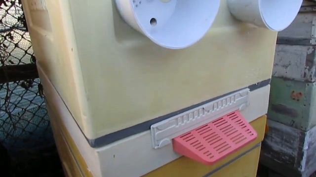 отводок пчел сверху основной семьи при зимовке на воле , в 6 рамочном улье смотреть онлайн