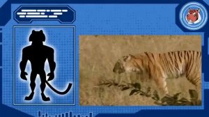 Храм Тигров. Братья Кратт: Зов Природы. Новая серия. Канал Детишки