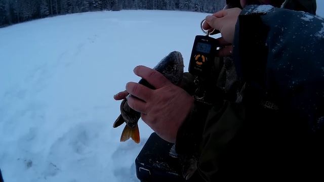 Добрые окуни на безнасадку смотреть онлайн