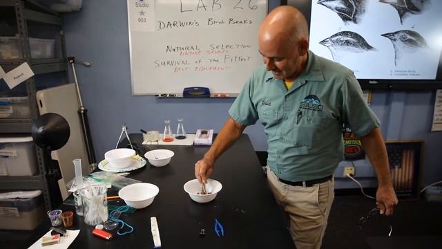 David and Herman Science Show Lab 26 Charles Darwin Birds смотреть онлайн