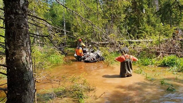 Стелс леопард в воде смотреть онлайн