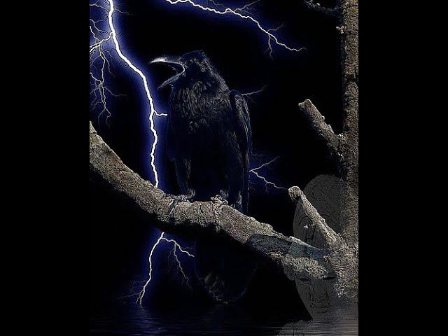 Мир приветствует Хугина. смотреть онлайн