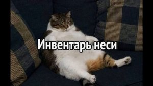 ПРИКОЛЫ! КТО УБИЛ ЕНОТА? УГАРНЫЕ МЕМЫ от Доми шоу