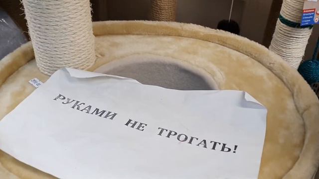 ВЛОГ : В Зоомагазине🦜🦦🐁Лимон Погрыз Обои☹Сколько раз я сказала "Класс!"👍🤣😁 смотреть онлайн