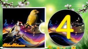 Голоса птиц - Пение птиц - как поёт  Щегол & Зеленушка