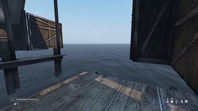 Solo Veteran vs DayZ's Hardest Quest on Deer Isle смотреть онлайн