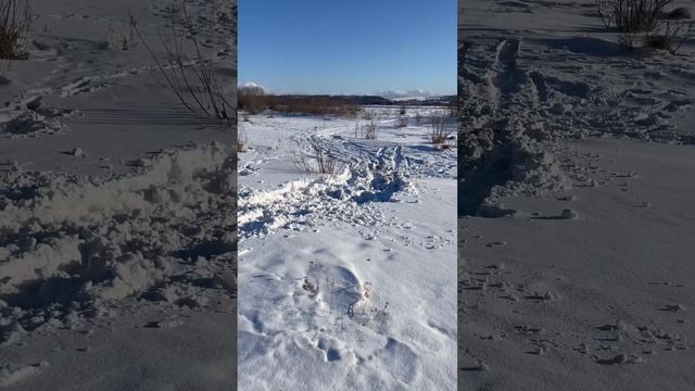 sharmax hummer 300 смотреть онлайн