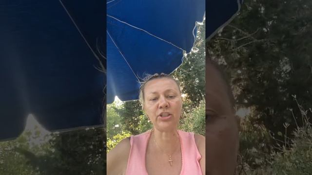 СТЫД И ПОЗОР ГУБЕРНАТОР ОСТРОВКИЙ ! ВЛАД БАХОВ смотреть онлайн