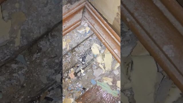 Ищем источник запахов, квартира с секретом, стены в хрущевке. Продолжение следует смотреть онлайн