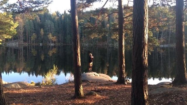Flute Faun - Marius Løkse: Sunset silence by a pond in the forest. смотреть онлайн