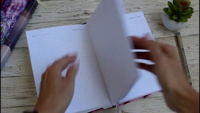 Блокнот в точку смотреть онлайн