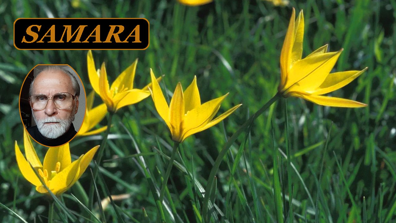 Самара. Ботанический сад. Апрель 2024. 3. Samara. The Botanical Garden. April 2024. смотреть онлайн