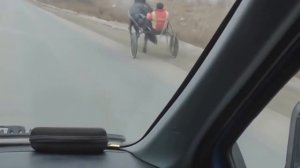 Цыганские лошади, Иноходец,Продам