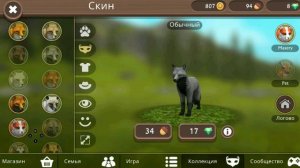 Ibeta125 - миф или реальность? Как вызвать ibeta125 в WildCraft