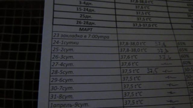 "Перепёлкино" Итоги и Таблица инкубации бройлерных цесарок смотреть онлайн