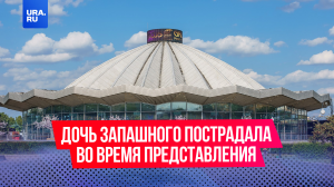 Двое артистов пострадали во время представления в Большом Московском цирке