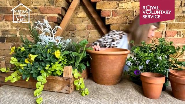 Planting Summer Containers with Rachel Moore смотреть онлайн