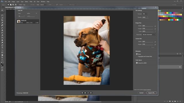 'Export As' Function Not Working in Photoshop CC смотреть онлайн