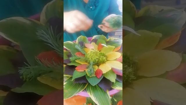 МАСТЕР-КЛАСС "МОЗАИКА ИЗ ОСЕННИХ ЛИСТЬЕВ" - ДАНМАЛЫ В ДЕТСКОМ САДУ смотреть онлайн