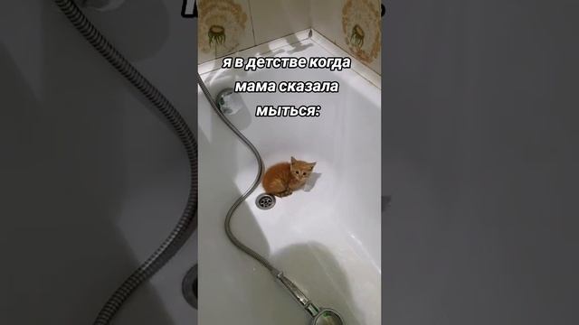 5-летний я когда мама сказала ПОШЛИ МЫТЬСЯ смотреть онлайн