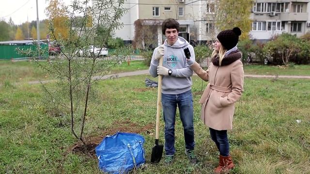 ИНФА100% - Спасение деревьев в Митино смотреть онлайн