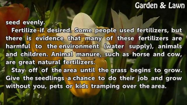 How To Grow Grass Over The Septic Tank