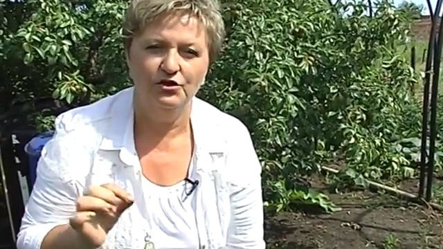 Римма Панова в Садовых историях о том как собрать большой урожай помидоров смотреть онлайн