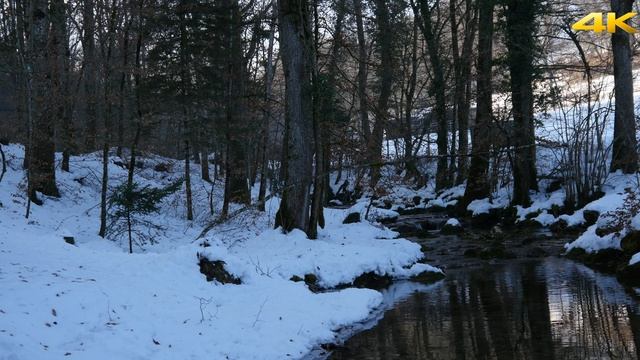 Panasonic Lumix GH4 video sample in 4K ULTRA HD resolution смотреть онлайн
