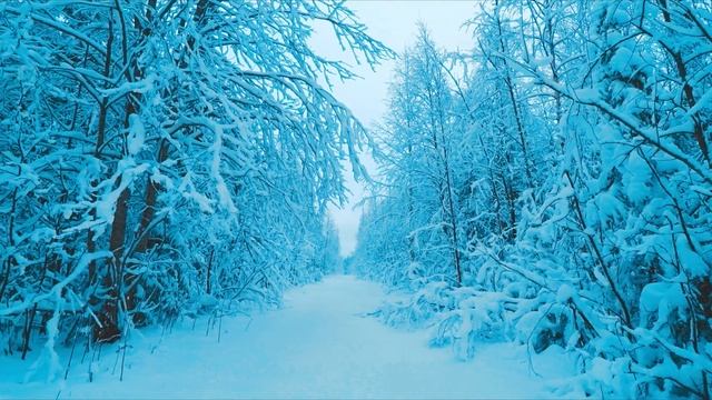 Kalevala | Зимняя сказка смотреть онлайн