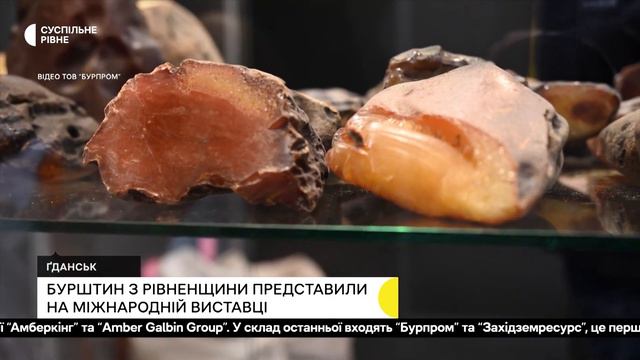 Легально видобутий бурштин Амбер Гальбин представили на ярмарку у польському Гданську смотреть онлайн
