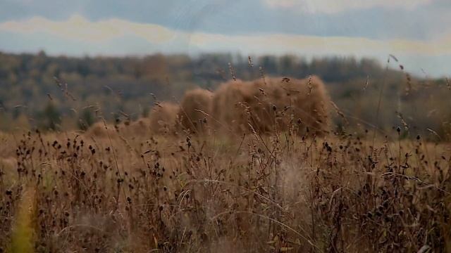 Посвящается Маме!!!??? Олег Голубев - Маме смотреть онлайн