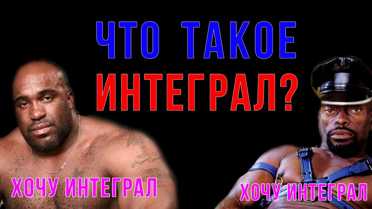 Шиз поясняет. Что такое интеграл?