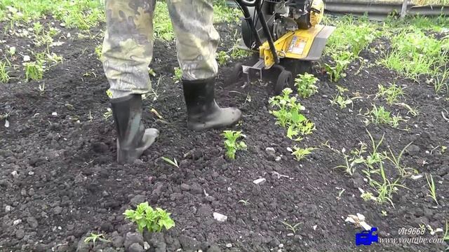 Мотокультиватор Texas прополка окучивание картофеля смотреть онлайн