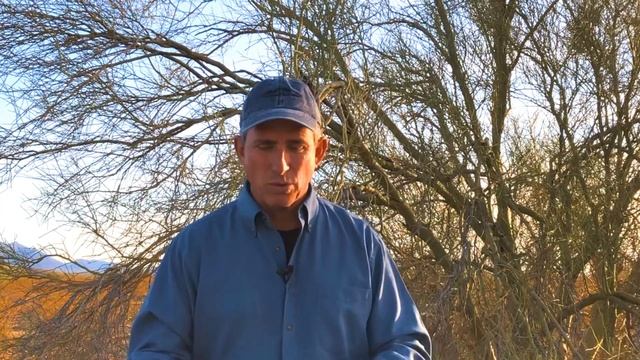 Landscape Pruning - The Whys, Whens And The Tools